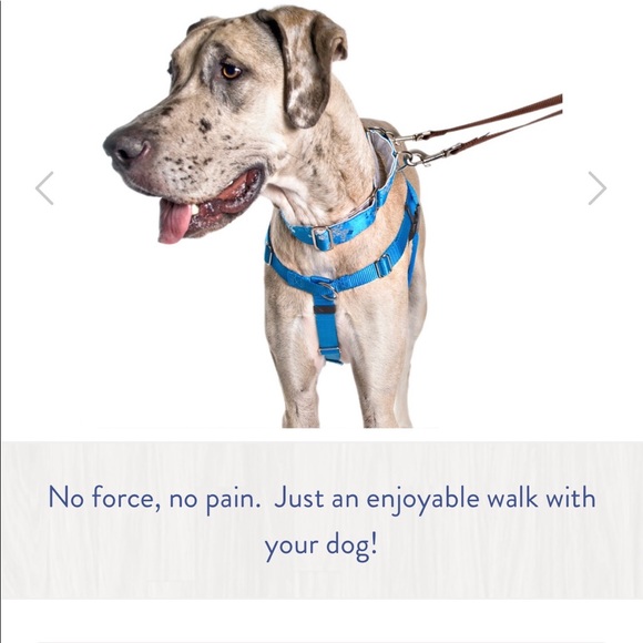 Turquoise No Pull Harness - Picture 3 of 7